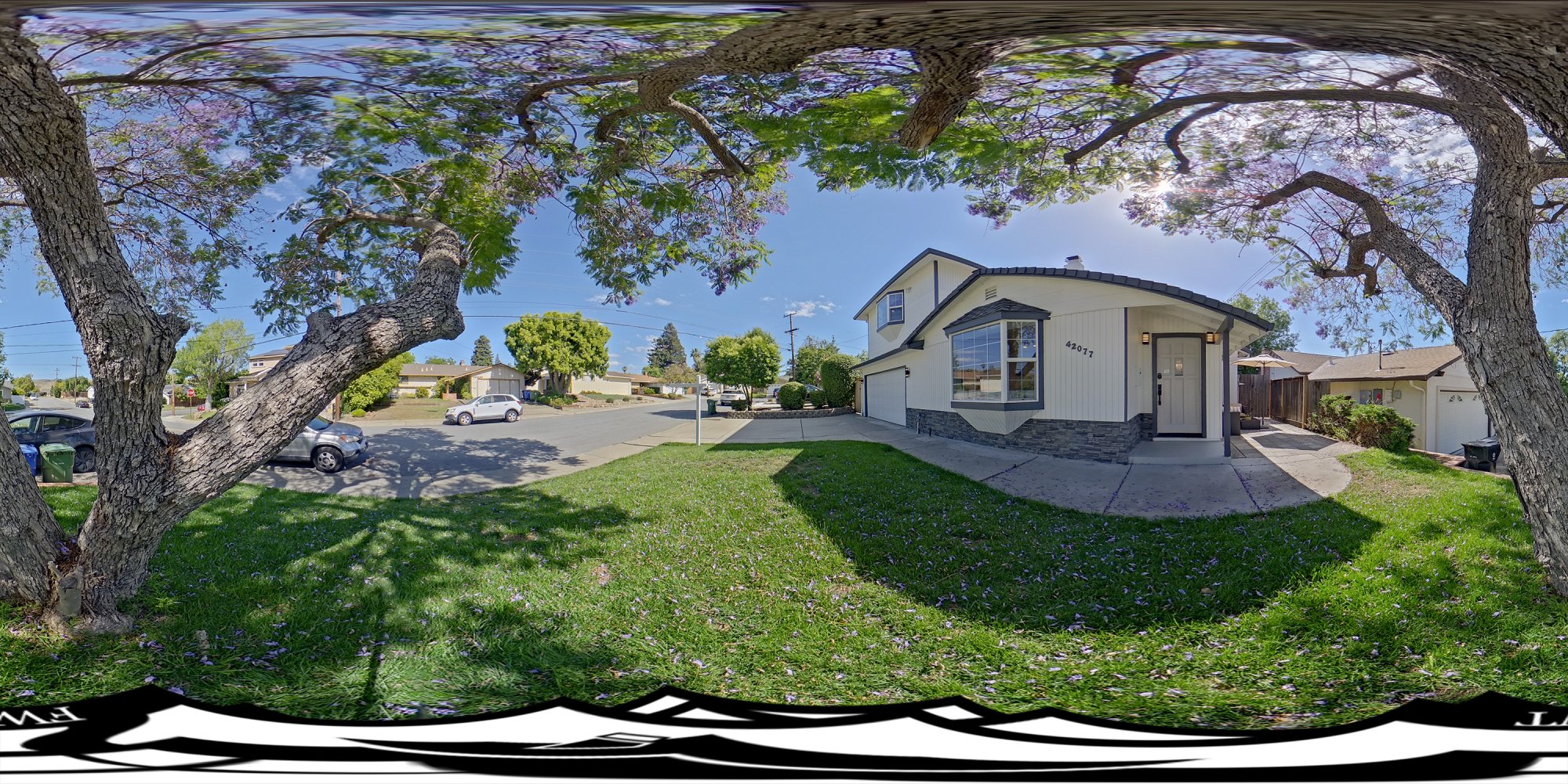pano image